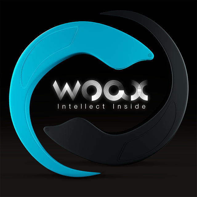 The Coolest Personal Assistant. Different Kind of Wearable. Using Voice Only