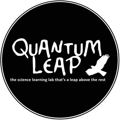 Where lessons are fun and enriching learning journeys, during which pupils think logically, systematically ask questions and confidently find answers.