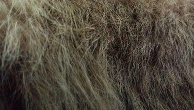 DarkEVils04's profile picture. FC'HEENIM  forever สถานะ:(ยังคง)ทาสมือเทพเยี่ย แต่เชียร์ทีมTTC #เน้นเวิ่นกับตัวเองซะส่วนใหญ่www