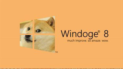Windoge8_'s profile picture. 