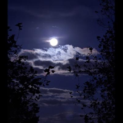 peterjack7421's profile picture. 