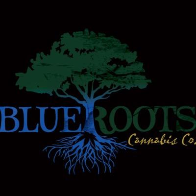 BRC_I502's profile picture. WA State Licensed I-502 Indoor Marijuana Producer & Processor. Offering boutique cannabis, hand crafted edibles and artfully extracted concentrates.