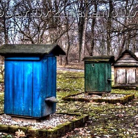 oussamazeroual2's profile picture. beekeeper