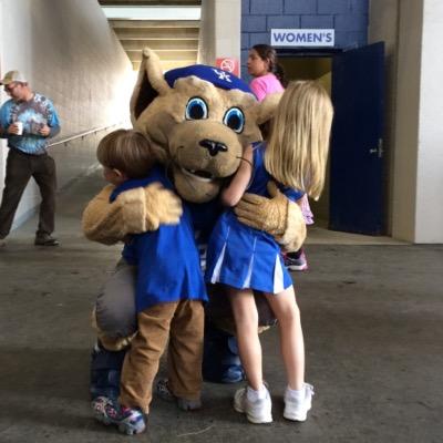 harryjschmidt's profile picture. TVA Economic Developer, Attorney, Hoya, Wildcat