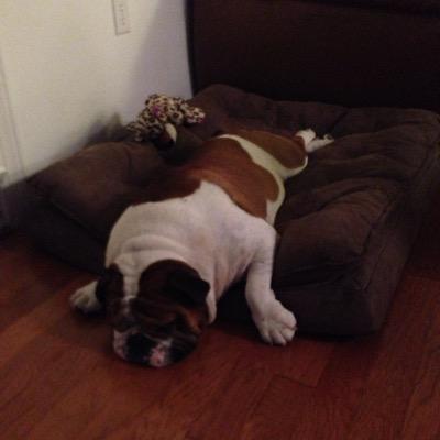 sm7eq's profile picture. 