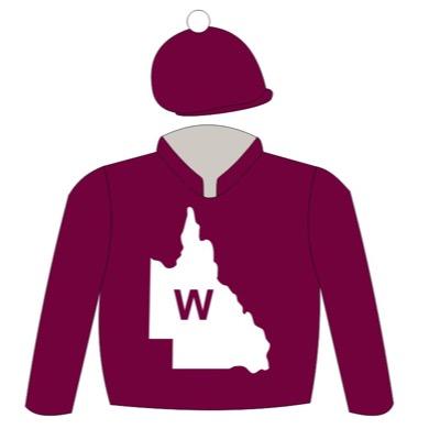 whittingtonqld's profile picture. QLD based speed machine standing this year at Grandview Stud E- whittingtonqld@gmail.com standing at Grandview Stud 2015 $8800 - Enquieries call mark 0431280154