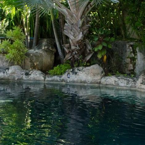 Lodging_Bridge's profile picture. Sweet Field Manor is located in Barbados. This 20th century plantation maintains its charm and historic feel for travelers.