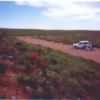 نديم المجره (@alarifi_ahmed) 's Twitter Profile Photo