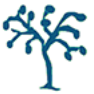 B.S.O.A (@bsoa_org) 's Twitter Profile