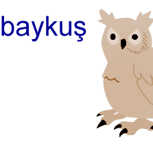 Desifre1453's profile picture. Hak edeni hayatıma Sokarım, Hak etmeyenin hayatından şüphe duyarım