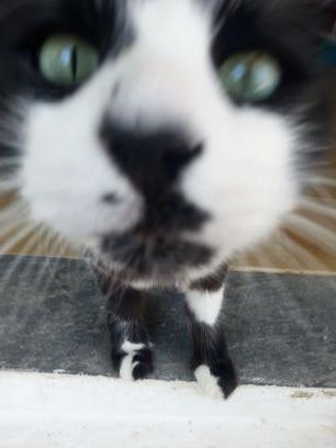 magdatsoga's profile picture. 