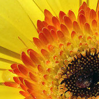 Love2Teach's profile picture. Technology Integration and Media Center Coordinator for preK-5 Elementary School.