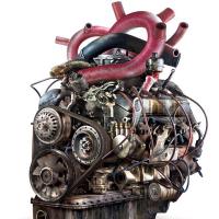 TofiJay (@omiyetofunmi) 's Twitter Profile