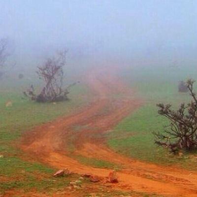 mohakuw's profile picture. طالب في كلية التربية 


جامعة الكويت