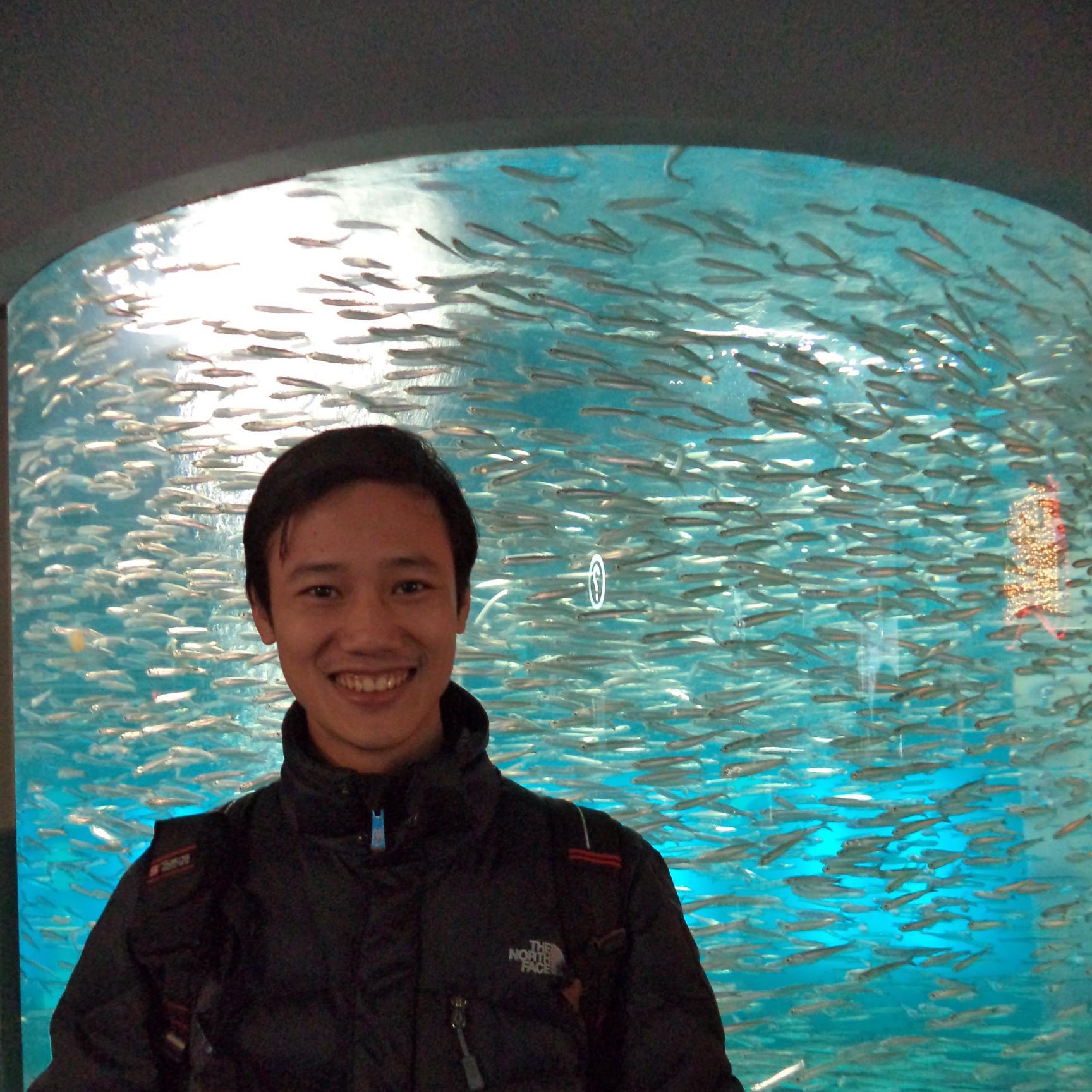 daohuymanh's profile picture. 