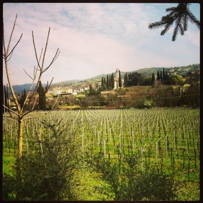 #Italy • #Wine • #Travel #staytuned