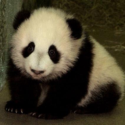 DutchServerTour's profile picture. 