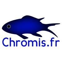 Chromis_fr's profile picture. 💻 IT/TIC Consulting: webmaster, CM, DTP/PAO — 💦 SCUBA/Plongée CMAS Instr. ★★ — 🌎 MSc Bio-Eco — fr|en