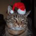 Goocher (@goocher70) Twitter profile photo Goocher (@goocher70) Twitter profile photo