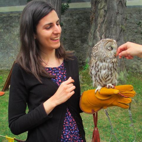 QuestForPeas's profile picture. Dramatist. Bahai. Bookworm. Canine cuddle-dispenser. Tree-climbing goat enthusiast. (she/her)