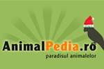 Animalpediaro's profile picture. Comunitatea iubitorilor de animale