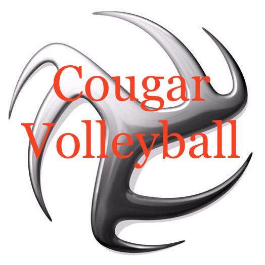 PHS_BoysVolley's profile picture. 