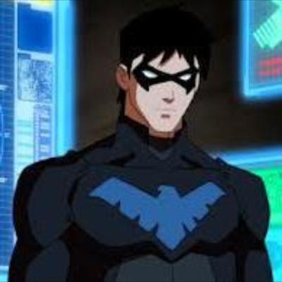 #Nightwing, First Robin, I was trained by Batman at a young age, V1:looking|| kicking but with batman and batgirl