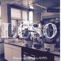 Waser Group(@LcsoLab) 's Twitter Profile Photo