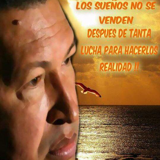 14Chirino's profile picture. 