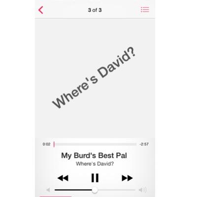 Where's David? are Scotland's most exciting, up and coming indie band. With catchy melodies and movie star looks they're a band you'll never forget.