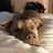 lcurzon's profile image