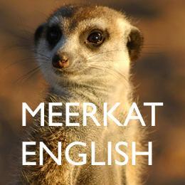 Follow us for LIVE English lessons on Meerkat