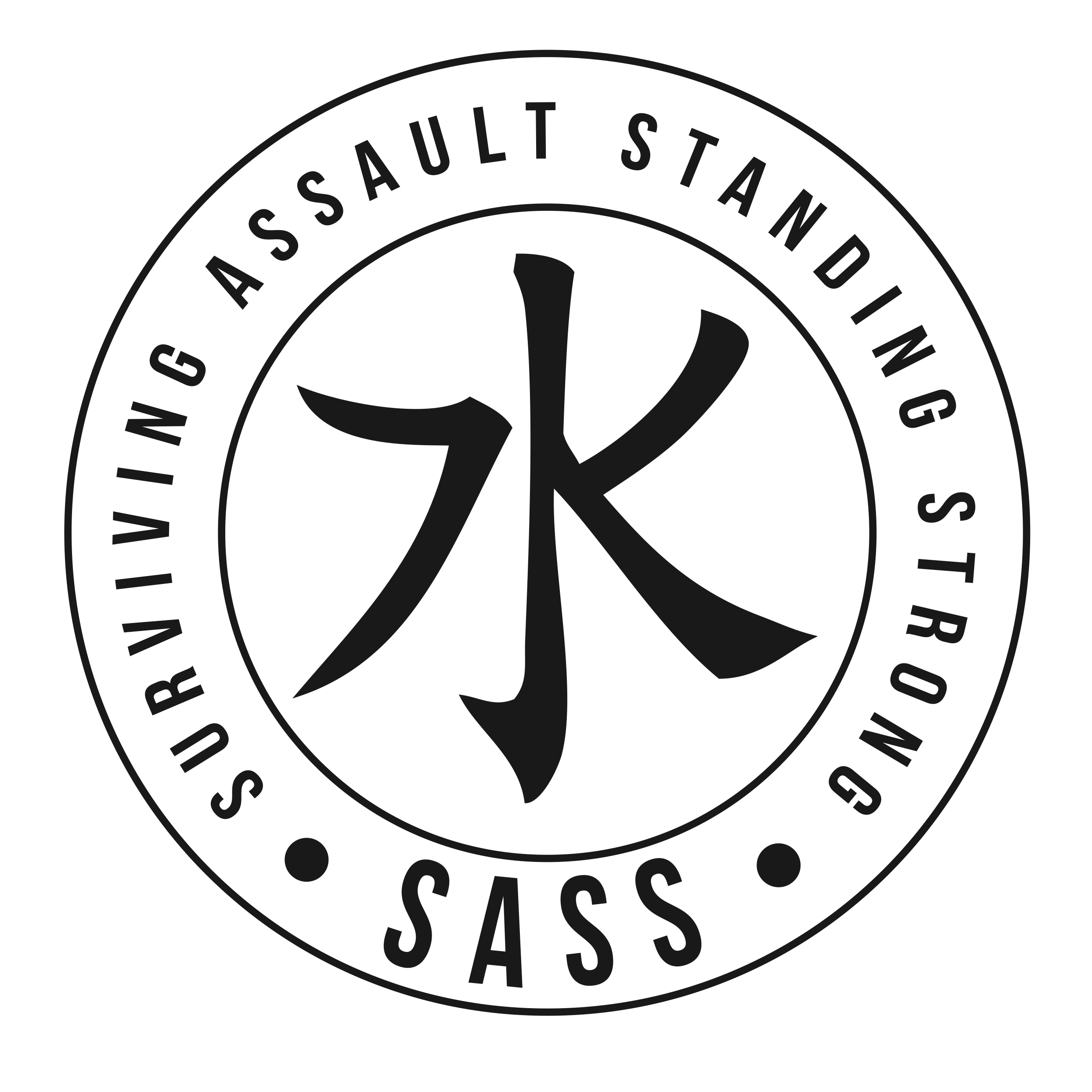 A 501c3 nonprofit on a mission to eradicate abuse, trafficking and violence against women and girls globally. #gosassgo #protectthetribe