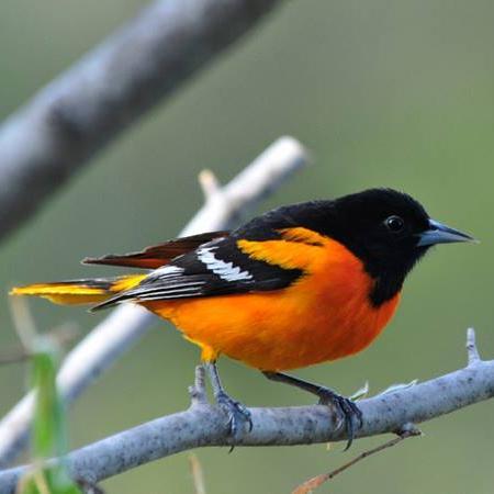 DiveOchie's profile picture. Education & Technology Consultant