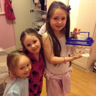 dgm114's profile picture. Husband, father, brother, son. Chairman of Archery Club, keen gardener, passionate marketeer. All views expressed are my own.