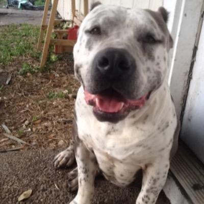 miguelb72313's profile picture. 