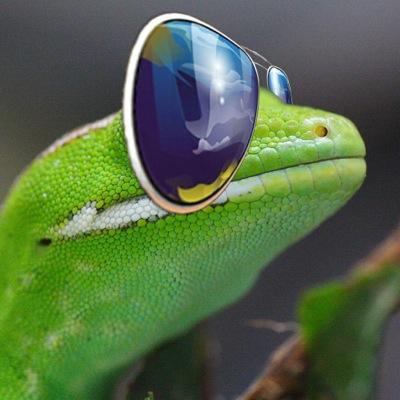 Livin like Larry