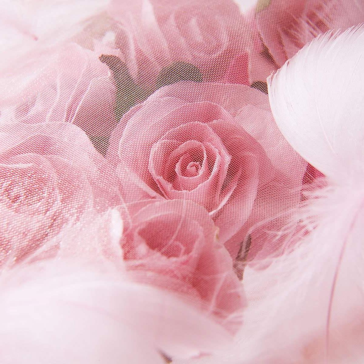 nardi_westprog's profile picture. 