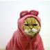 zoethezombie (@zoethezombie) Twitter profile photo zoethezombie (@zoethezombie) Twitter profile photo