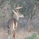 Ed Pierson - @elp82 - Twitter