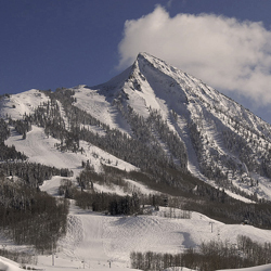 CBProperty's profile picture. Crested Butte's leading real estate firm.