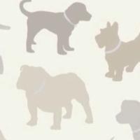 Lost and found Dogs (@missingdogs1) 's Twitter Profile
