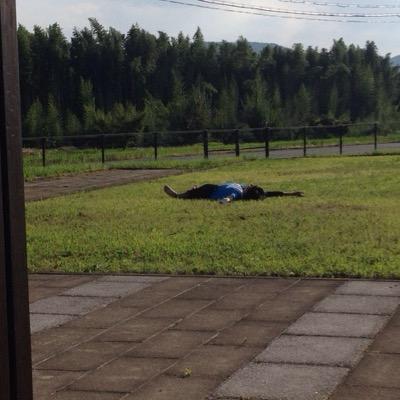 accountantbank's profile picture. 立命館大学3回生。偶然、素晴らしい環境に出会い、パソコン片手に好きなことをして過ごしてます。