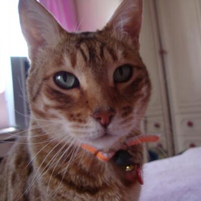 joannie321's profile image
