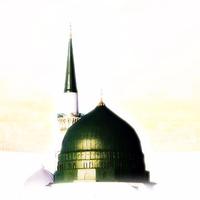 Bir Hakperest (@birhakperest) 's Twitter Profile