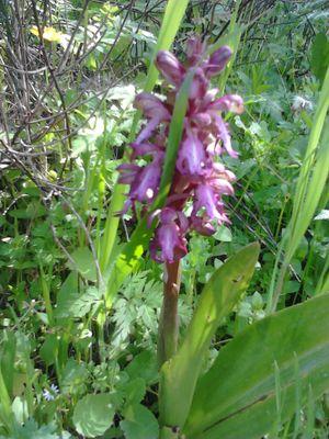 karl_marx7's profile picture. Σαν άντρας είμαι αυτό που λένε, ψηλός, ξανθός, γαλανομάτης!!!(το αντίθετο)  Ρομαντικό και ενίοτε πολιτικό ακαου      https://t.co/2w2aXsBpm0