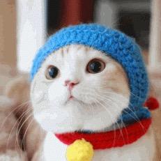 mF0o28scSPUpYpu's profile picture. 