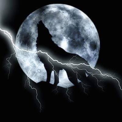 CelestialsPuppy's profile picture. 25M
Taken by @Celestial_Pup
@WolfofNyx is my main account.