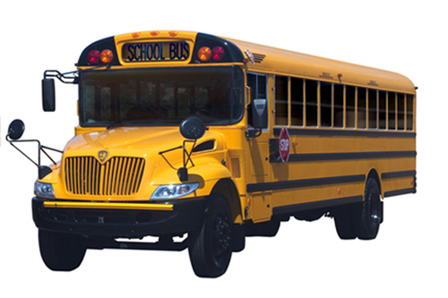 CCSBus's profile picture. CCS Bus Travel Updates