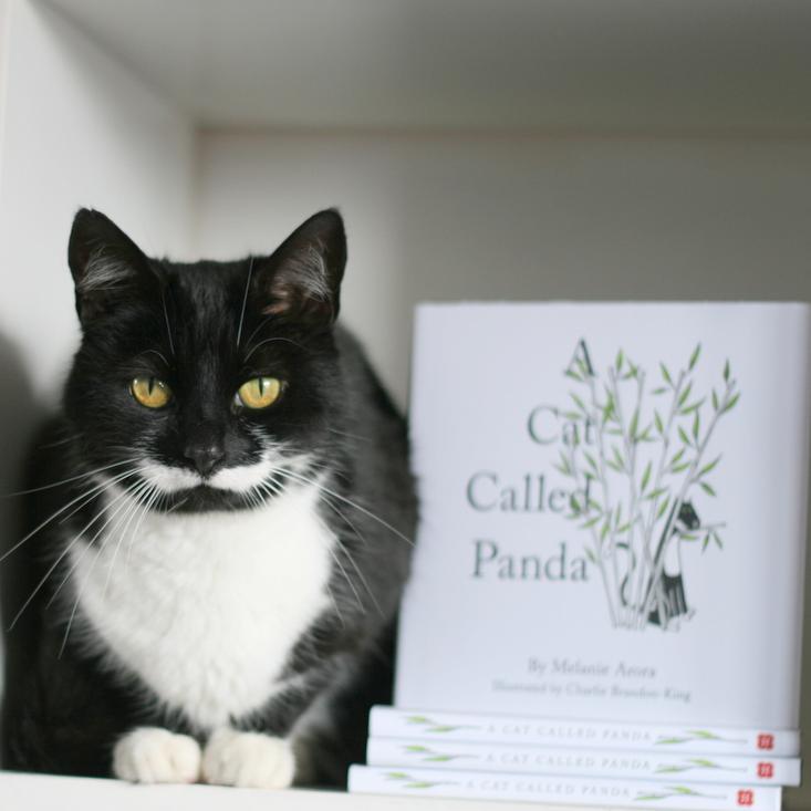 ACatCalledPanda's profile picture. Children's book published September 2016 about a black & white cat with a taste for bamboo. I am a cat...It's as simple as that!